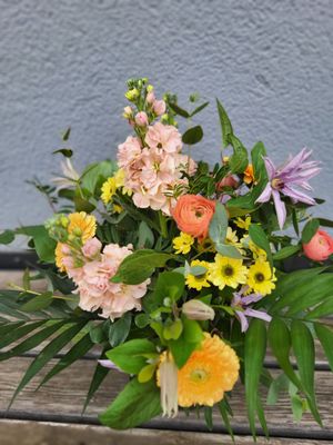 Jane liefern