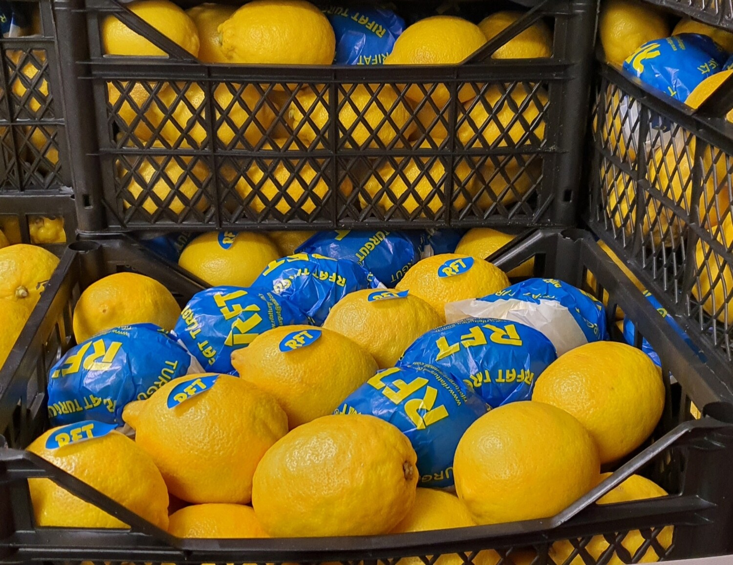 Citrons 0,5 kg