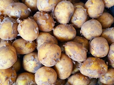 Kartupeļi Latvijas 2 kg