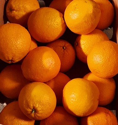 Apelsīni 1 kg