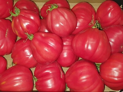 Latvijas Tomati 1 kg