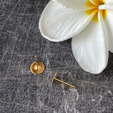 Earring Posts with 6mm Flat Pad. Gold-plated brass, and steel (nickel-free). Sold per pkg of 10 pairs.