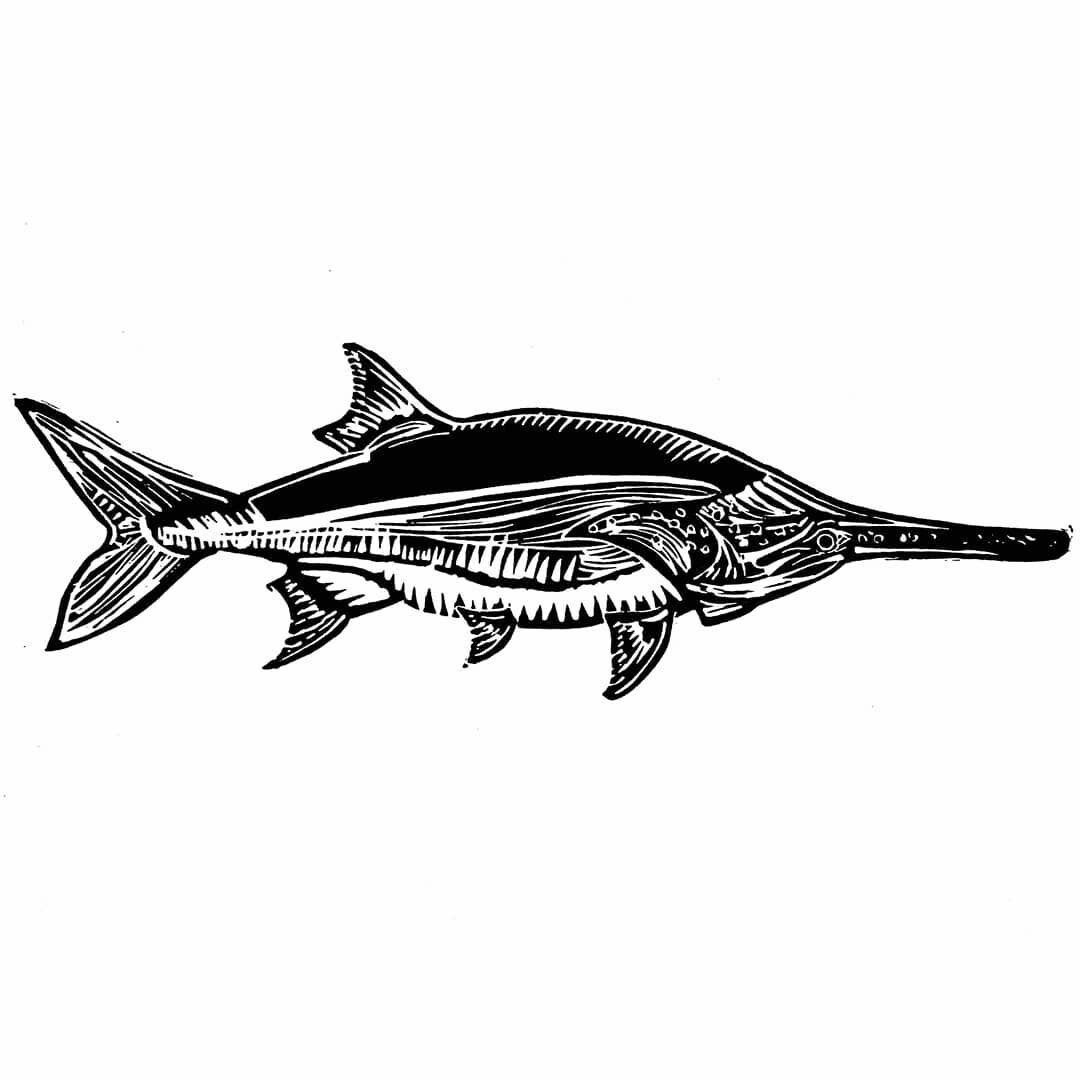 Fish Linocut (Large)