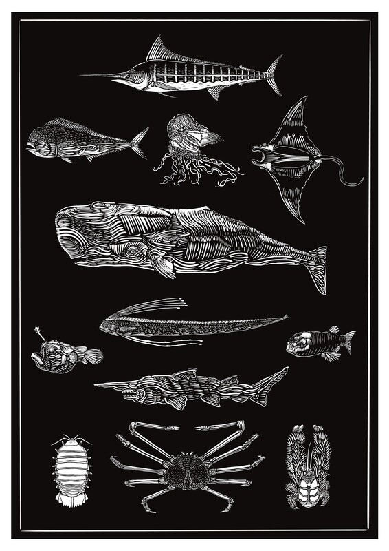 Sea Wonders monograph (n° 1-2)