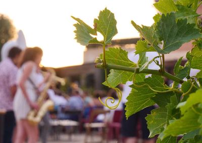 Abonnement " L'incontournable" Club Avantages