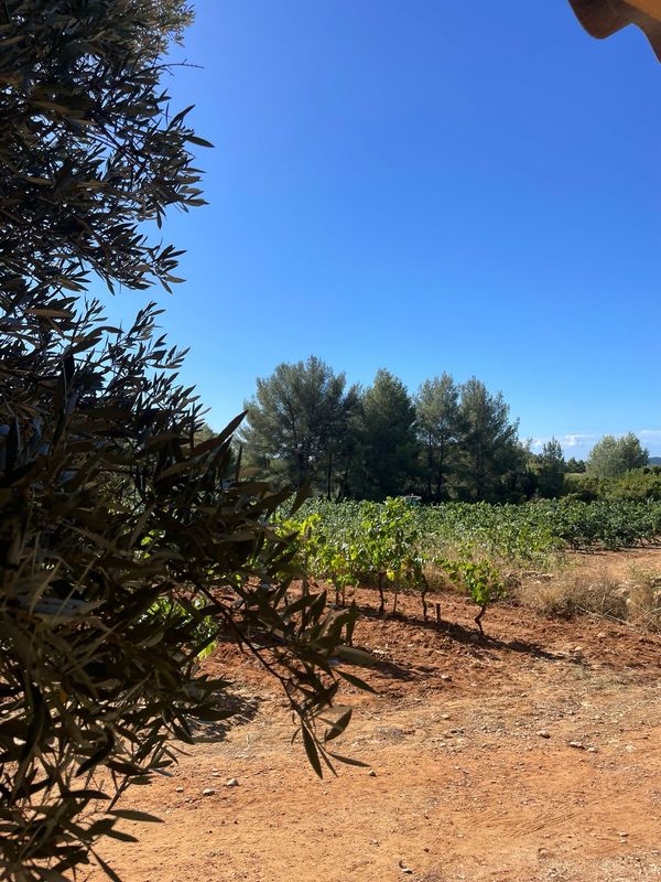 Le 25 Avril grillades et dégustation au Cabanon