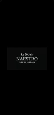 PROMO EARLY LE 20 Juin 2026 Concert de Naestro PLACE PROMO POUR 2 PERSONNES