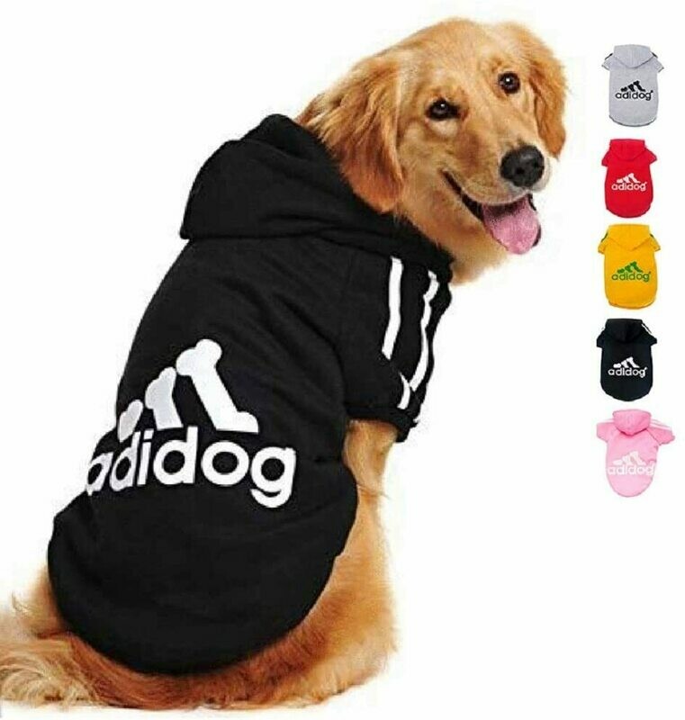 Trenerka Adidog