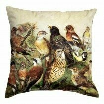 Kussen zangvogels