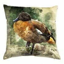 Kussen Duck