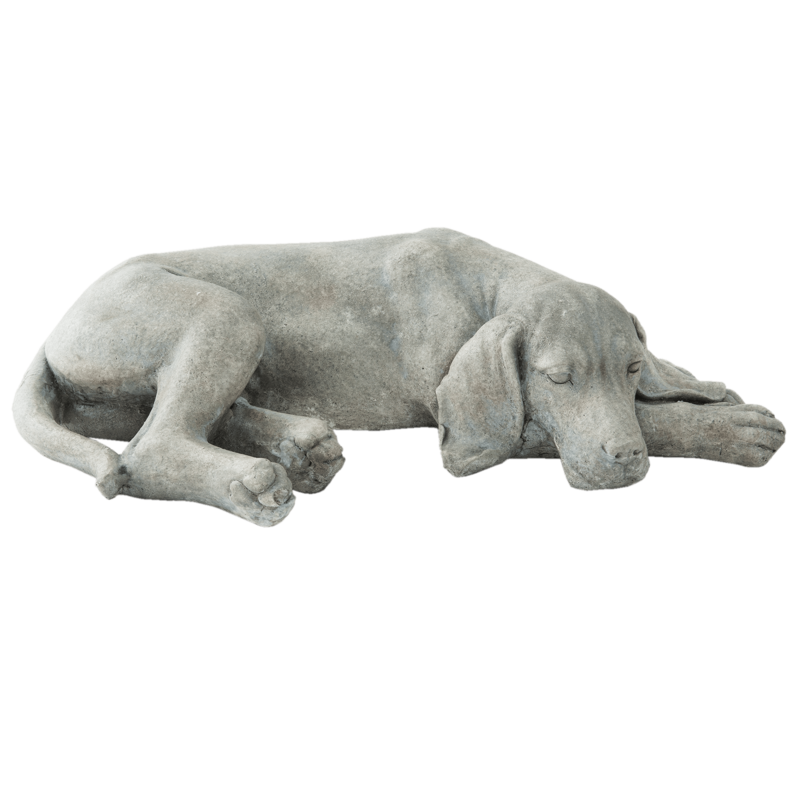 Slapende hond