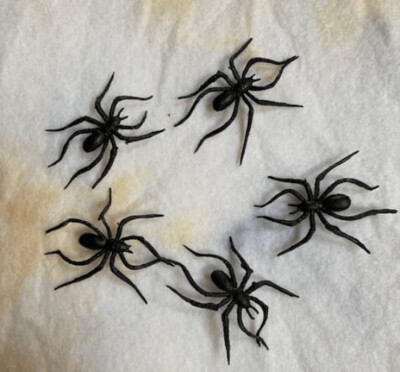 Spinnetjes van 5 cm ( 5 stuks)