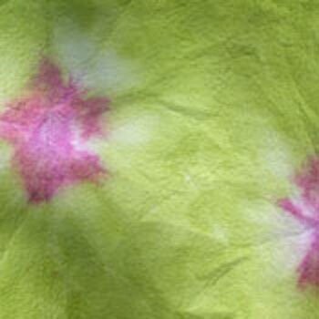 Sprookjesvilt Groen met Fuchsia
