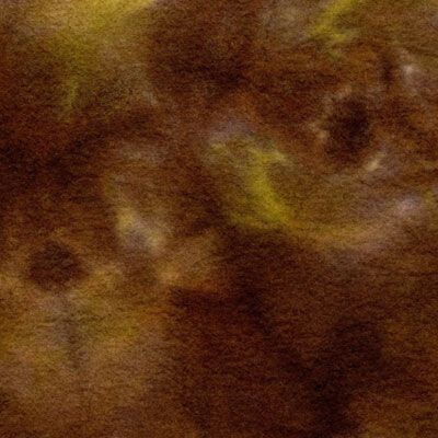 Sprookjesvilt Boomschors  ( bruin-groen)  ( 20 x 90cm)