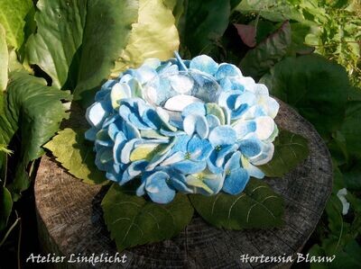Waxinelicht Hortensia Blauw ( Lindelicht)
