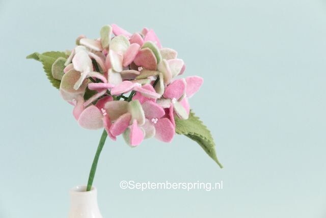 Hortensia