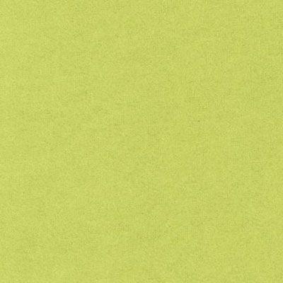 Cozy Flanel Lente-Groen  ( per  halve meter )