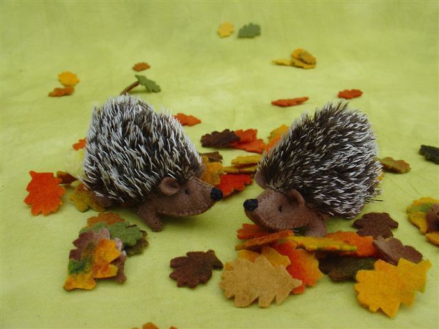 Twee Egeltjes.. zoeken naar een slaapplaats     (Septemberspring)