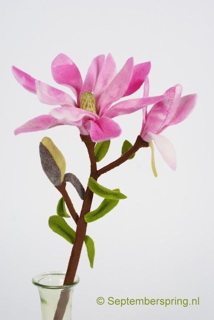 PDF Patroon Magnolia   ( Septemberspring)