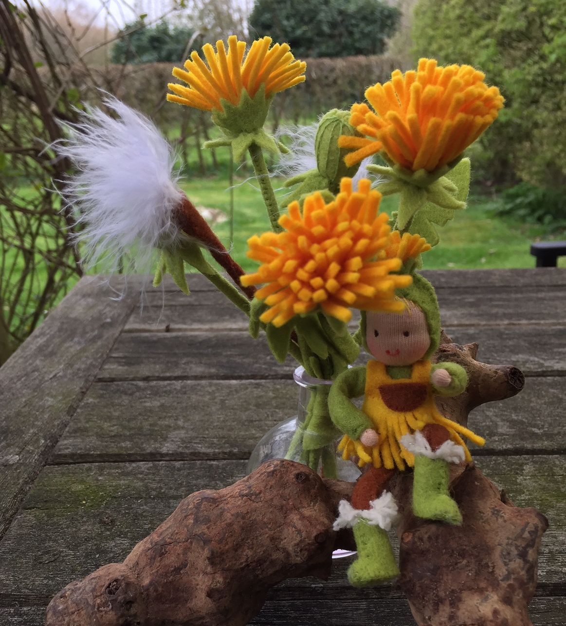Paardenbloem Pluis