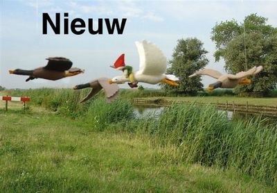 Nieuw in de webwinkel