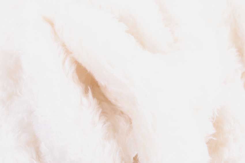 Mohair Wit Licht Gekruld   20 x 20 cm