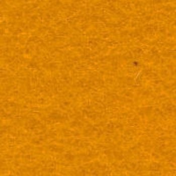 Dik Vilt Oranje (50 x 30 cm)