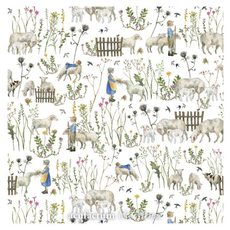 Stpf Daniela Drescher: Schapenwei  ( halve meter)