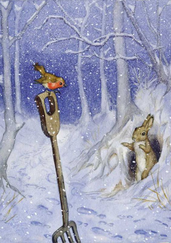 Setje Ansichtkaarten Molly Brett : Dieren in de Winter ( 5 stuks)