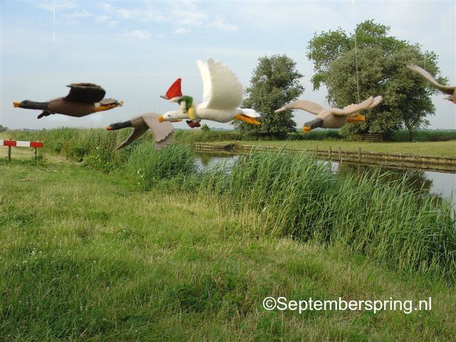 Vlucht Ganzen met Niels Holgersson ... (Septemberspring) Vlucht Ganzen met Niels Holgersson ... (Septemberspring)