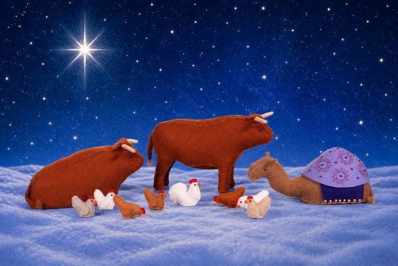 Kerstgroep : De dieren
