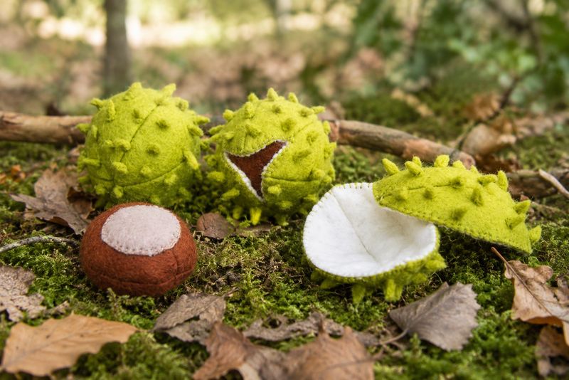 Kastanje en Bolsters
