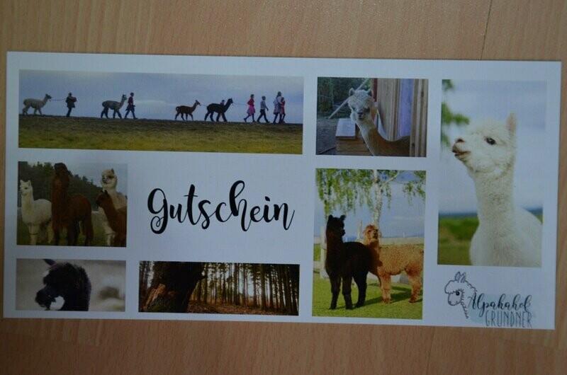 Gutschein Wert 25 Euro