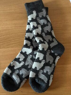 Alpaka Frottee Socken grau