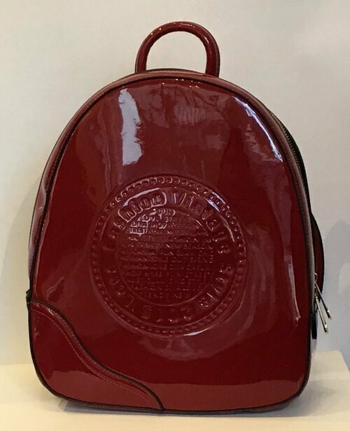 Rucksack glänzend rot