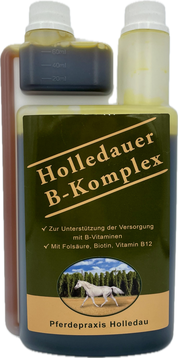 Holledauer B-Komplex