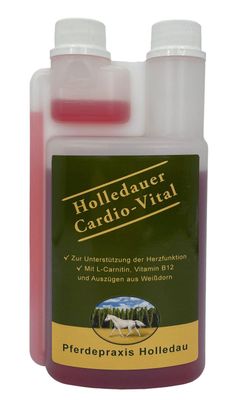 Holledauer Cardio-Vital