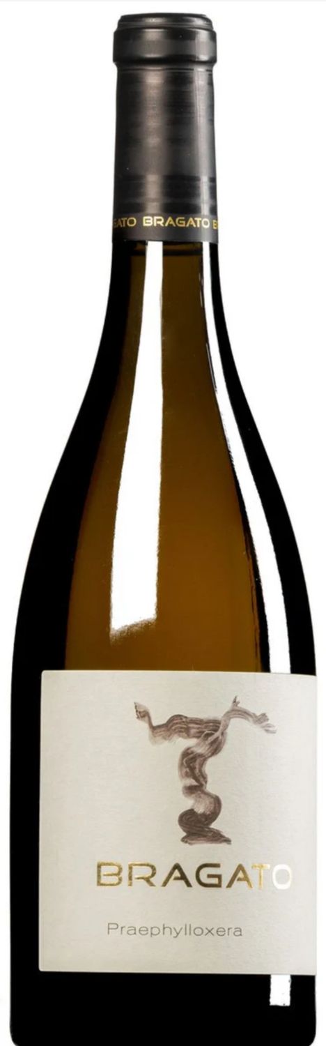 Bragato Praephylloxera
