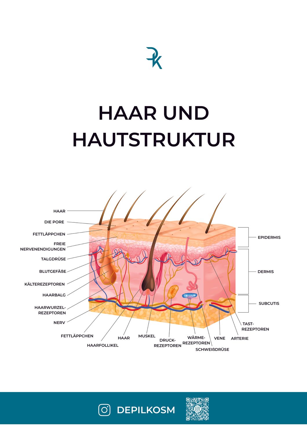 Poster für Kosmetik Studio &quot;Haar und Hautstruktur&quot;