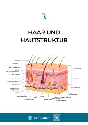 Poster für Kosmetik Studio &quot;Haar und Hautstruktur&quot;