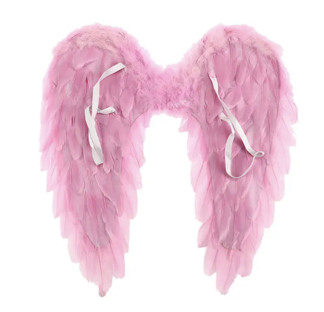 Pink Wings