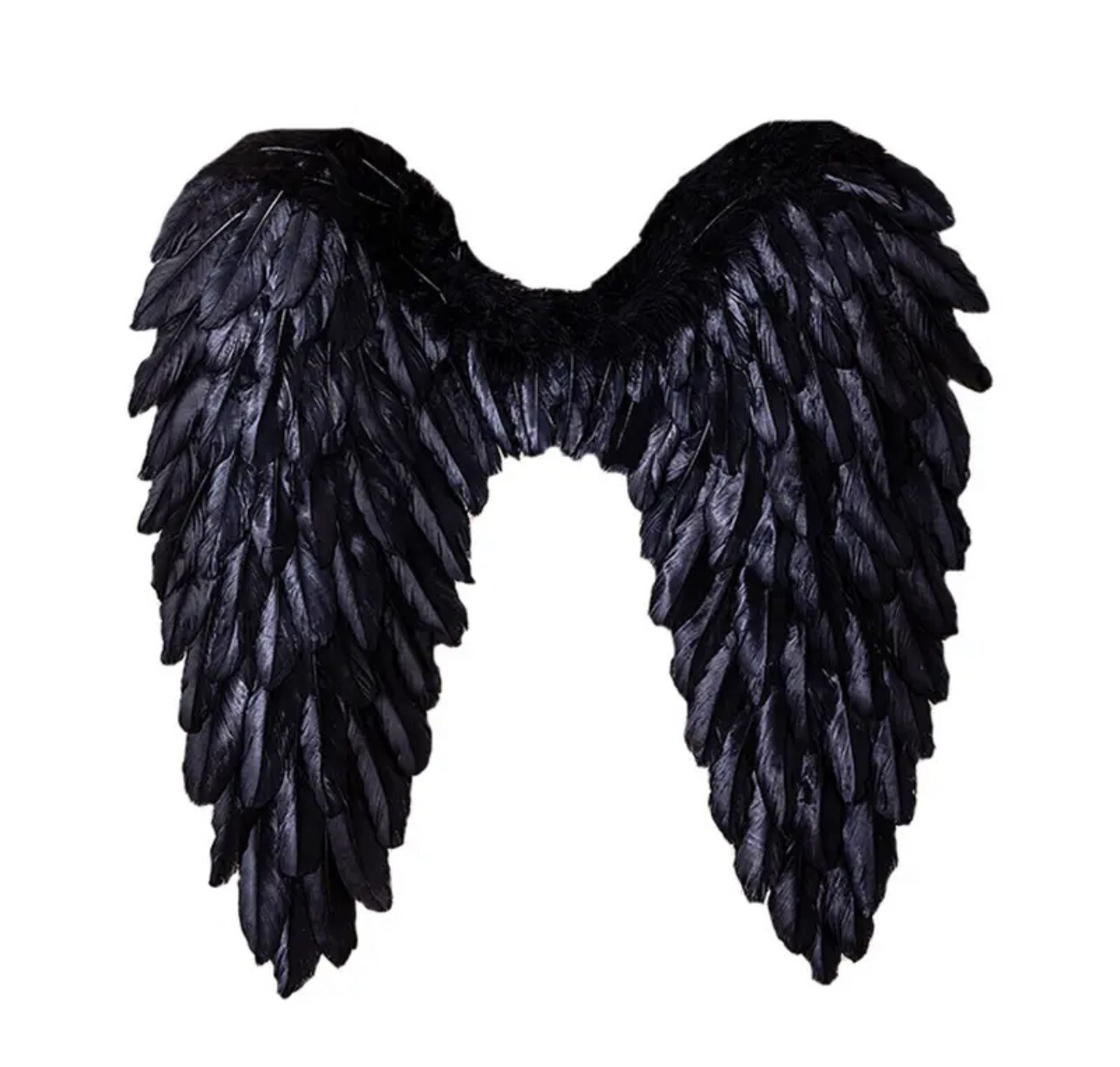 Black Wings
