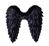 Black Wings