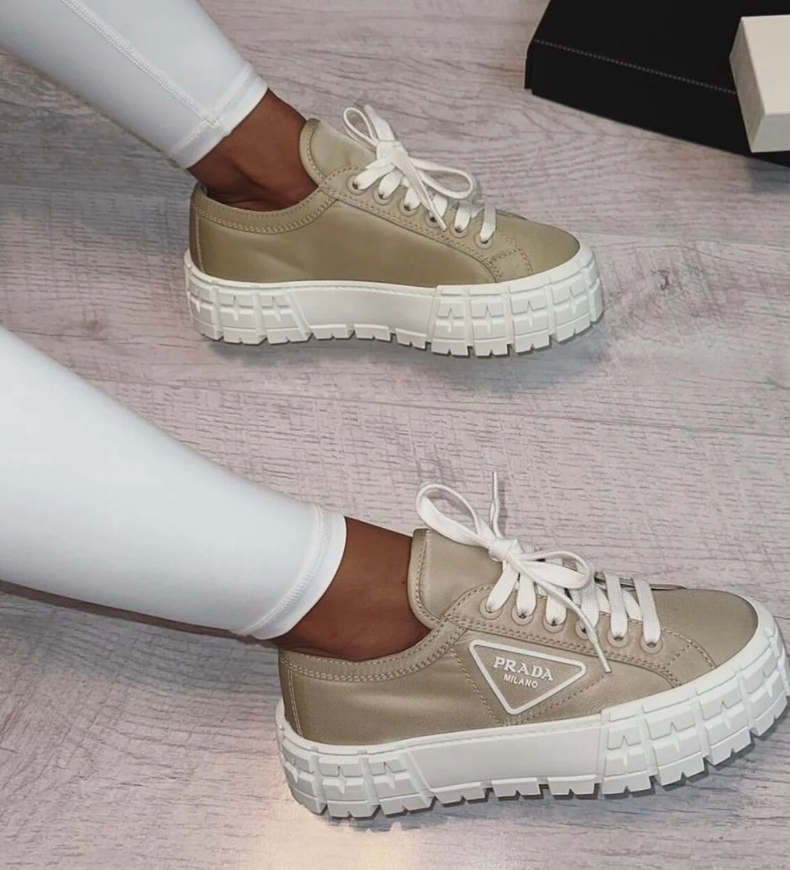 Polly trainer