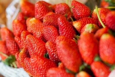 zuckerfrei Marmelade