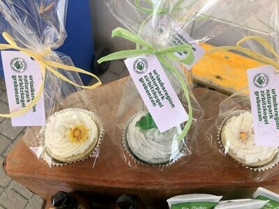 Fizzy Bade Cupcakes