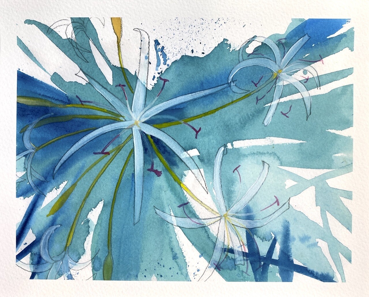 Dreaming of Kauai Print