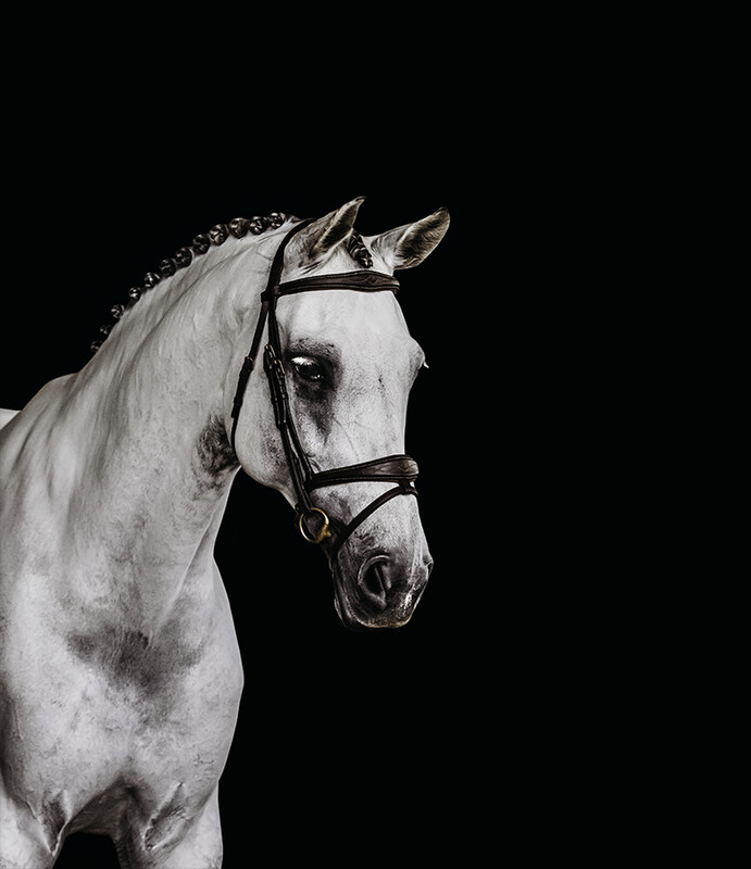 Black Background Portraits