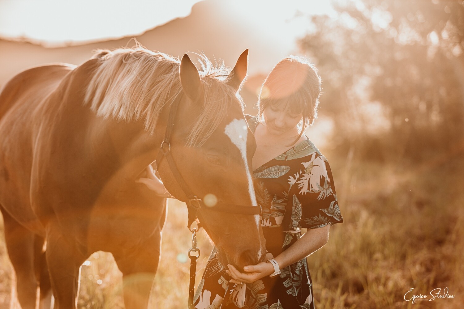 Horse Love Portraits