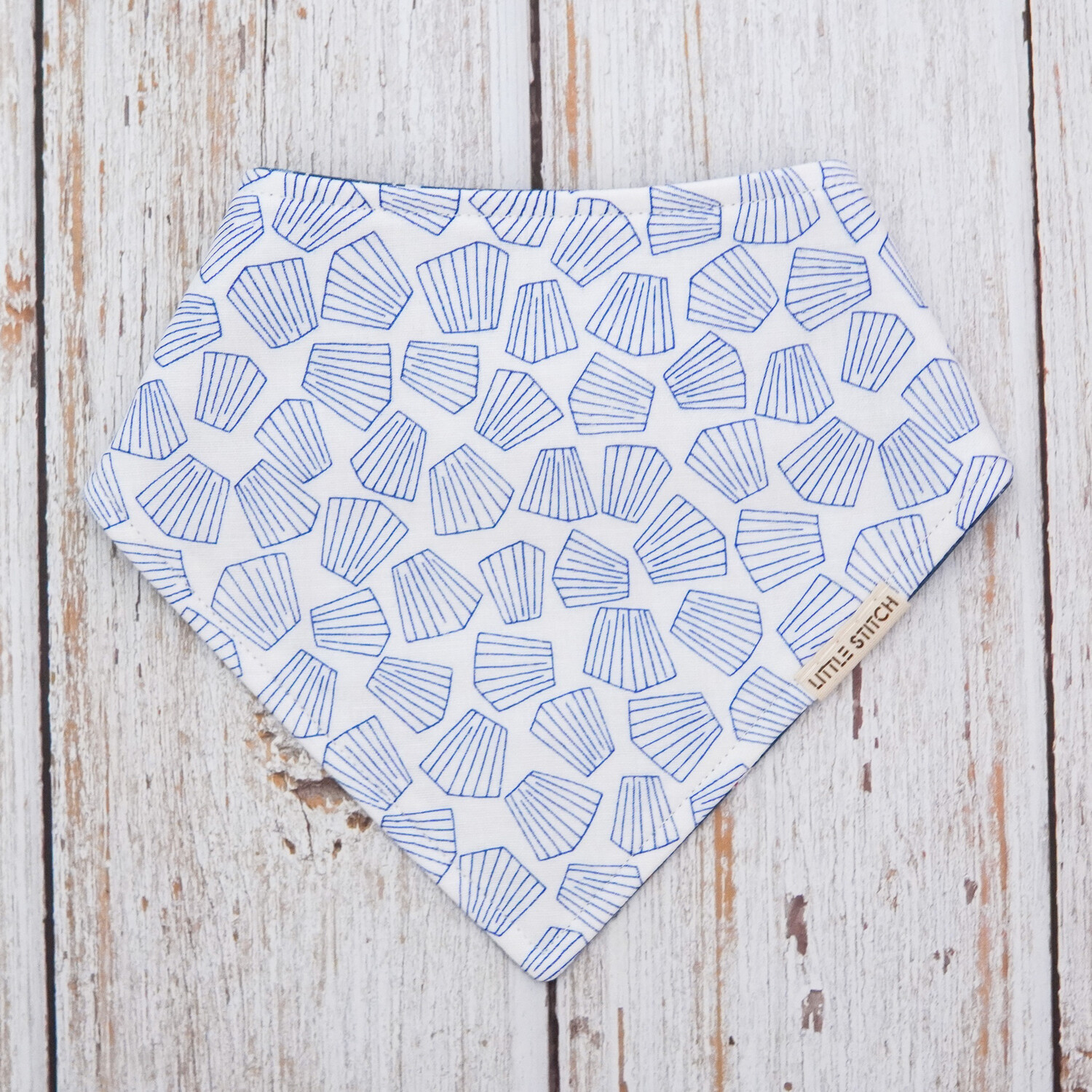 Seashells In Blue
